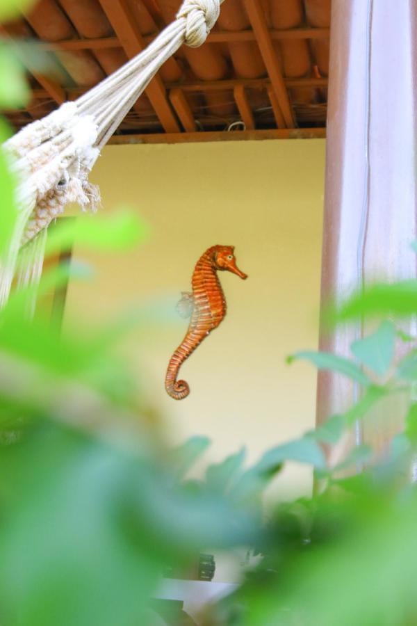 Casa da Tetê Apartamento Fernando de Noronha Exterior foto