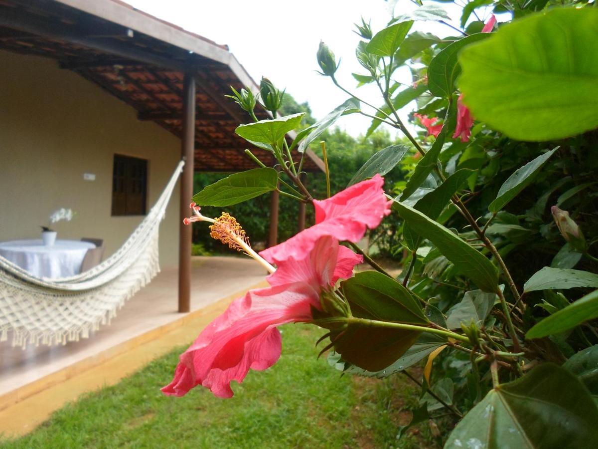 Casa da Tetê Apartamento Fernando de Noronha Exterior foto